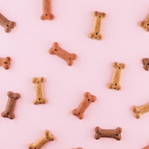 Pet Wellness Subscription Box