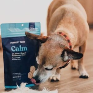 Eco-Friendly Pet Grooming Kit